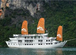 Paradise Cruises: Chất lượng là sức mạnh phát triển