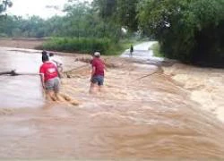 Phú Thọ: Lũ dâng cao, đường biến thành dòng sông khổng lồ