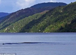 Quay được video về quái vật hồ Loch Ness?