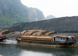 Tăng thuế để giữ tài nguyên