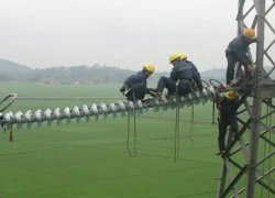 Tàu thủy đâm đường dây 220kv