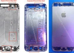 Thêm nghi vấn iPhone 5S sẽ có màn hình 4,3 inch