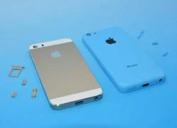 Tổng hợp mọi thông tin cần biết về iPhone 5S và iPhone 5C