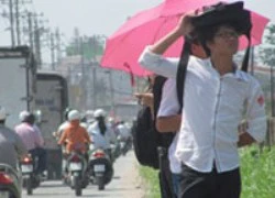 TP. Hồ Chí Minh: Ngày nắng, tối có mưa