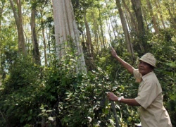 Uy danh "Thần hộ vệ"