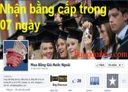 6.000 USD + 6 tháng chờ = tiến sĩ