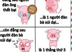 Ảnh chế: Bài học của heo con