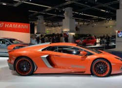 Bản độ bắt mắt Hamann Nervudo của Lamborghini Aventador