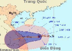 Bão số 8 gây mưa rất to ở Trung Bộ