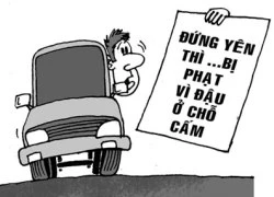 Cãi vẫn bị phạt