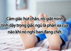 Fun facts vui: 5 phút trước khi chết, con người ta vẫn... sống