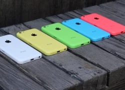 Giá chính thức iPhone 5C: gần 12 triệu đồng, iPhone 5S giá hơn 13 triệu đồng