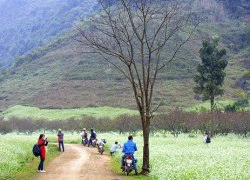 Khám phá Mộc Châu trên bản đồ KOOL VIETNAM