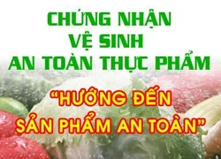 Kiểm tra ra vi phạm