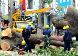 Lao động công ty công ích có lương 'khủng' sẽ không bị truy thu