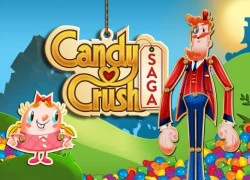 Mất việc vì mải cày Candy Crush