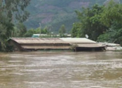 Miền Trung chìm trong lũ