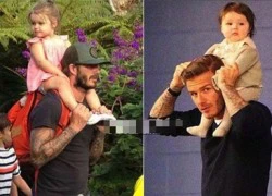 Muôn kiểu 'bố bồng con' Beckham và Harper