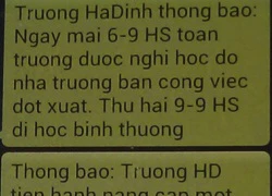 Người nhắn tin lừa hơn 700 phụ huynh là sếp công ty tin học