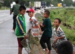 Nhói lòng trung thu của những &#8220;sát thủ nhí&#8221; trên đồng