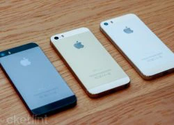 Những lỗi được bảo hành miễn phí trên iPhone 5s, iPhone 5c