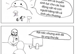 Truyện tranh vui : Nắng