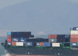 Tàu container đâm tàu cá rồi bỏ chạy