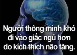 Té ghế với chùm ảnh kèm lời bình cực độc