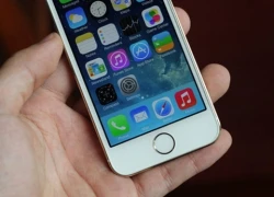 Tiếp viên hàng không 'xách tay' 50 iPhone 5S