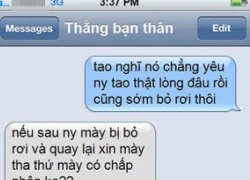 Tin nhắn chế: Gấu thế này thì ai cũng muốn có