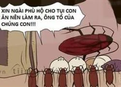 Tranh vui: Cụ tổ của gián