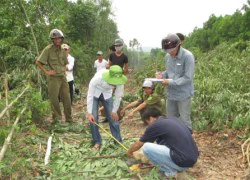 1 người chết, 5 người bị thương do tranh chấp đất rừng