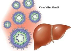 Báo động nguy cơ nhiễm viêm gan siêu vi tại Việt Nam