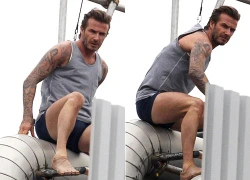 Becks mặc quần lót, áo ba lỗ trèo lên mái nhà