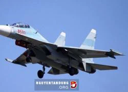 Biến thể Su-30MK, Su-30MK2 của Việt Nam khác gì nhau?