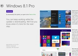 Cách nâng cấp lên Windows 8.1 từ Windows Store