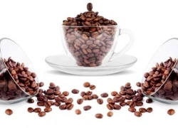 Caffeine làm chậm sự phát triển của não bộ