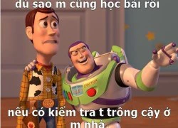 Câu chuyện ko có thật