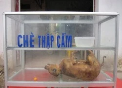 Chè thập cẩm... bá đạo