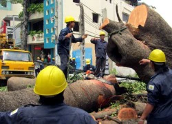 Công an vào cuộc điều tra vụ giám đốc nhận lương 'khủng'