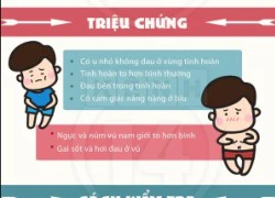 Dấu hiệu nhận biết bệnh ung thư tinh hoàn