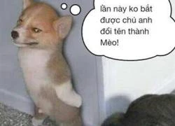 Đôi khi muốn yêu một người