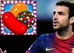 Fabregas mải mê &#8220;luyện công&#8221; Candy Crush