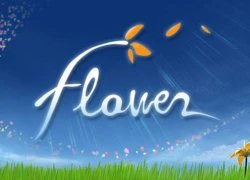 Flower - Hòa mình cùng thiên nhiên một lần nữa