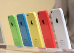 Giá iPhone 5c lại ồ ạt giảm, chạm đáy 11,6 triệu đồng