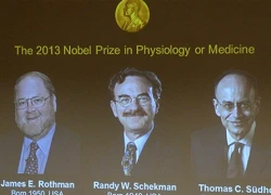 Giải Nobel Y học 2013: Cơ hội mới chữa bệnh thần kinh, tiểu đường