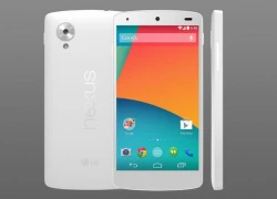 Google Nexus 5 xuất hiện với nhiều màu sắc