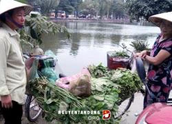 Hà Nội khan hàng, công nhân bỏ việc buôn rau ra phố