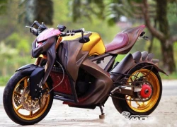 Honda Tiger phiên bản 'quái vật'