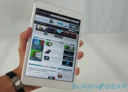 iFan Việt "mê mệt" iPad Air, iPad mini mới